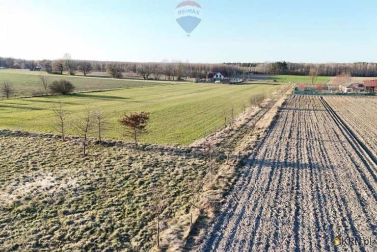 Działki  na sprzedaż, Korabiewice, ul. , 