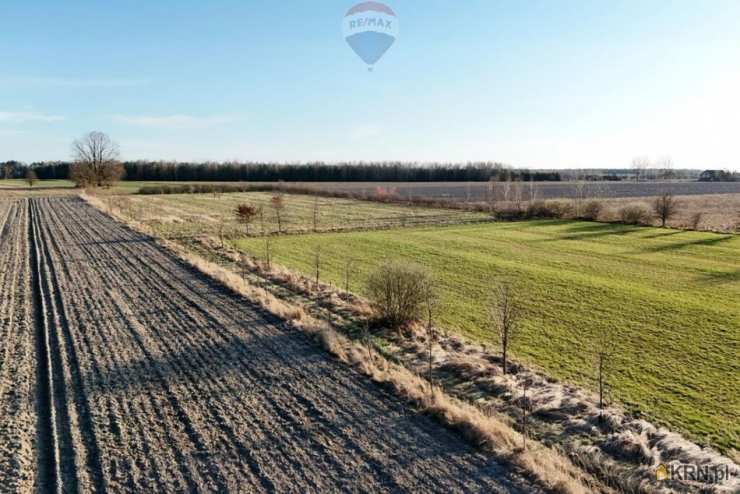 Działki  na sprzedaż, , Korabiewice, ul. 