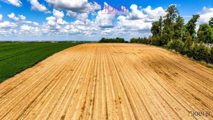 Pruchnik, ul. , Działki  na sprzedaż, 