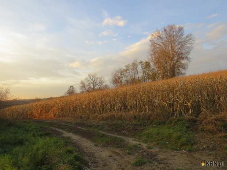 Działki  na sprzedaż, , Bobin, ul. 