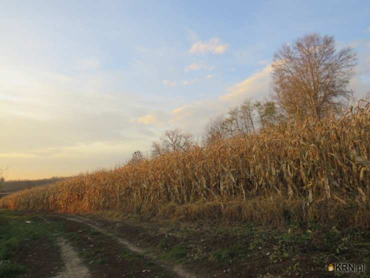 Bobin, ul. , Działki  na sprzedaż, 