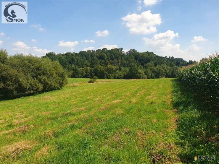 Działki  na sprzedaż, , Siepraw, ul. 