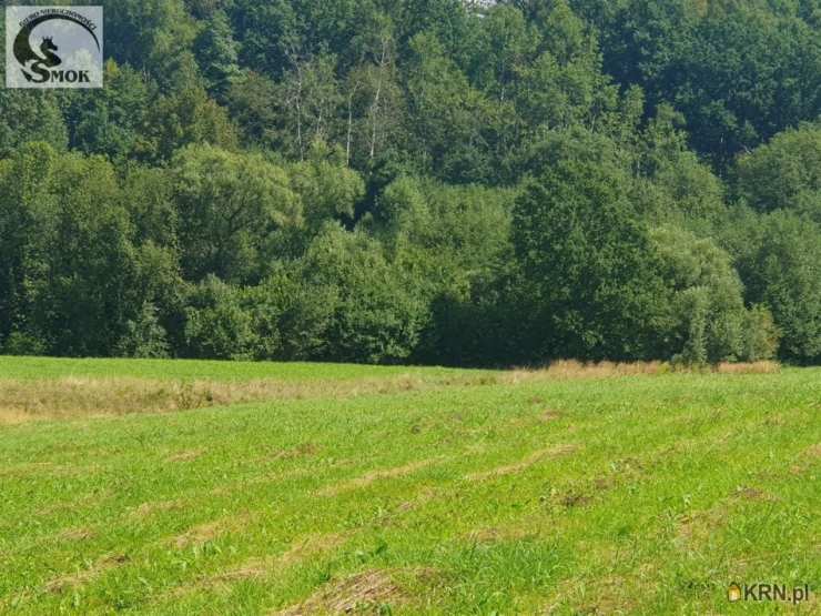 , Działki  na sprzedaż, Siepraw, ul. 