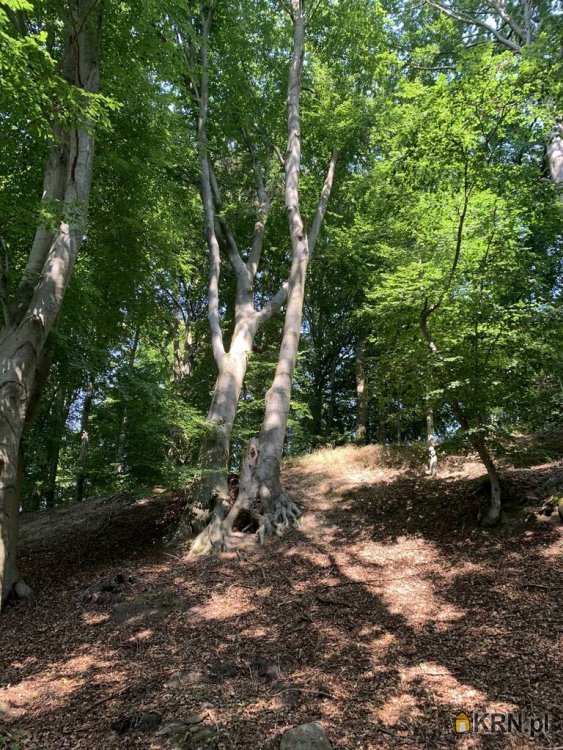 Drawsko Pomorskie, ul. , Działki  na sprzedaż, 