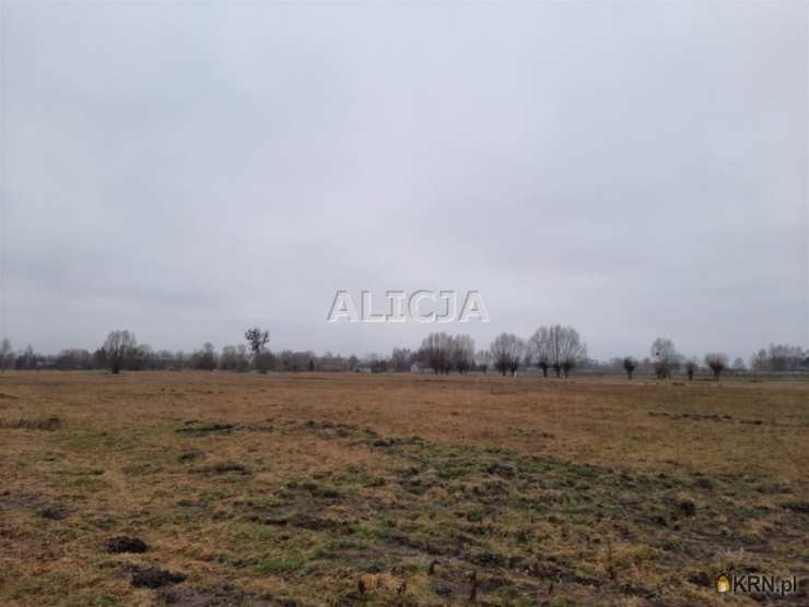 Działki  na sprzedaż, , Holendry Baranowskie, ul. 