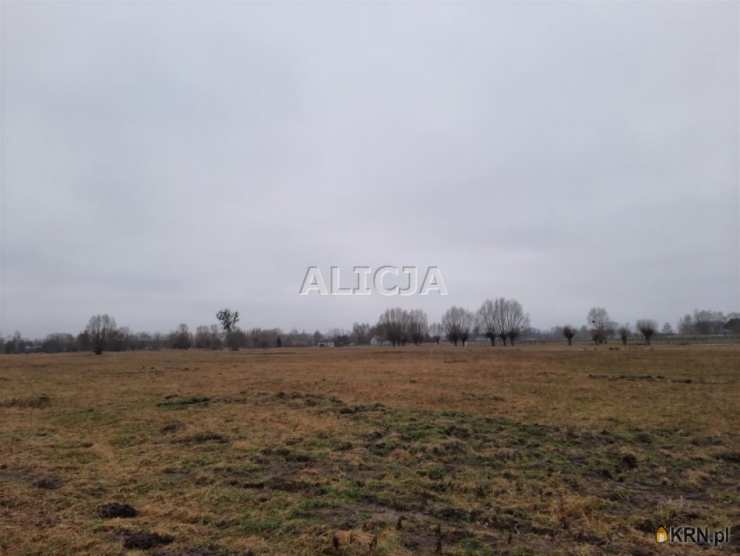 Holendry Baranowskie, ul. , Działki  na sprzedaż, 