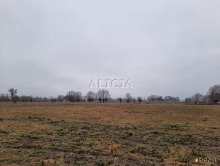 Holendry Baranowskie, ul. , , Działki  na sprzedaż