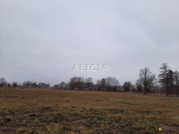 , Działki  na sprzedaż, Holendry Baranowskie, ul. 