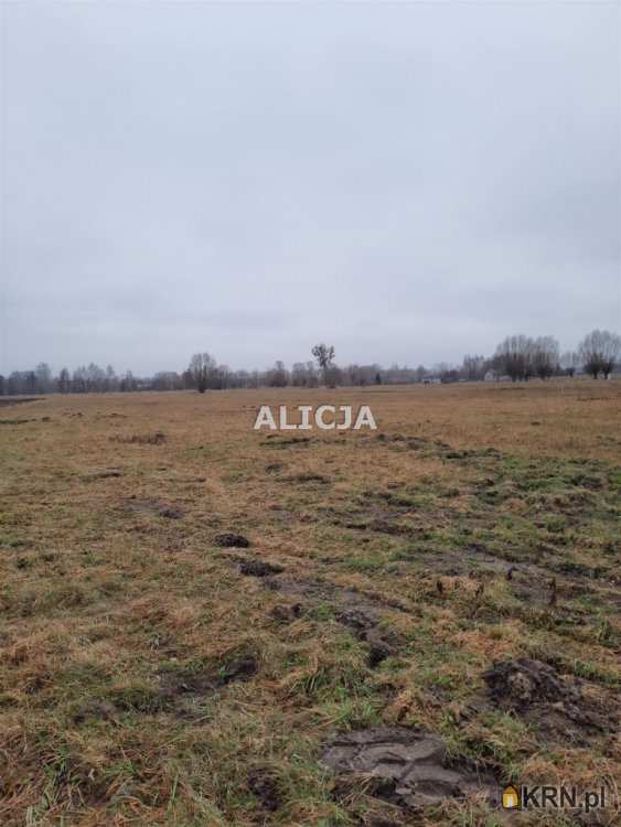 Działki  na sprzedaż, Holendry Baranowskie, ul. , 