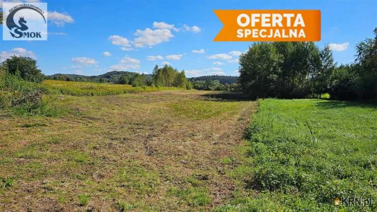 Działki  na sprzedaż, Cholerzyn, ul. , 