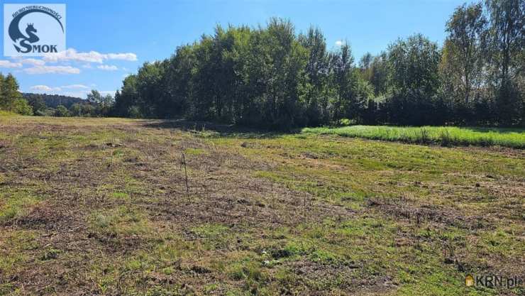 Działki  na sprzedaż, , Cholerzyn, ul. 