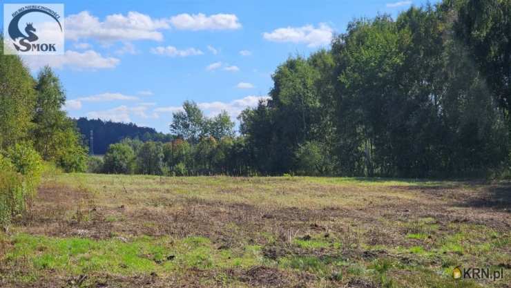 Cholerzyn, ul. , , Działki  na sprzedaż