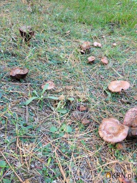 Działki  na sprzedaż, , Maszkienice, ul. 