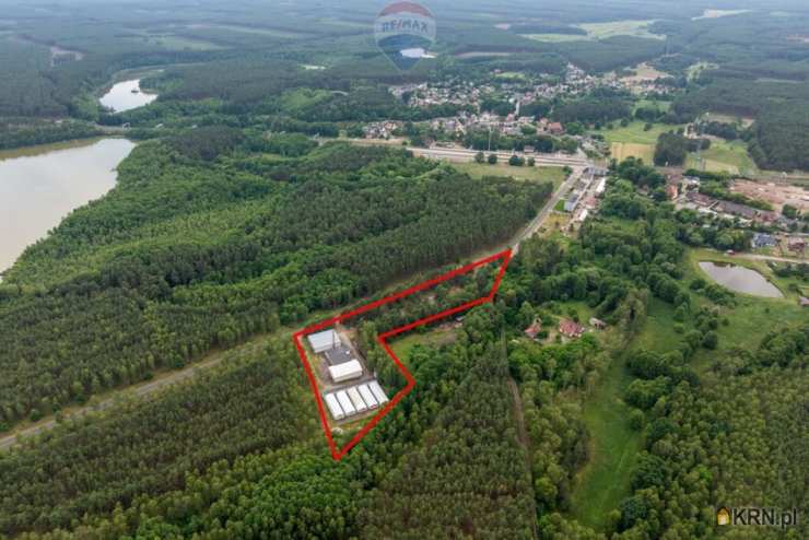 Działki  na sprzedaż, , Miały, ul. 