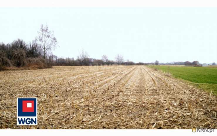 Działki  na sprzedaż, , Trzciana, ul. 