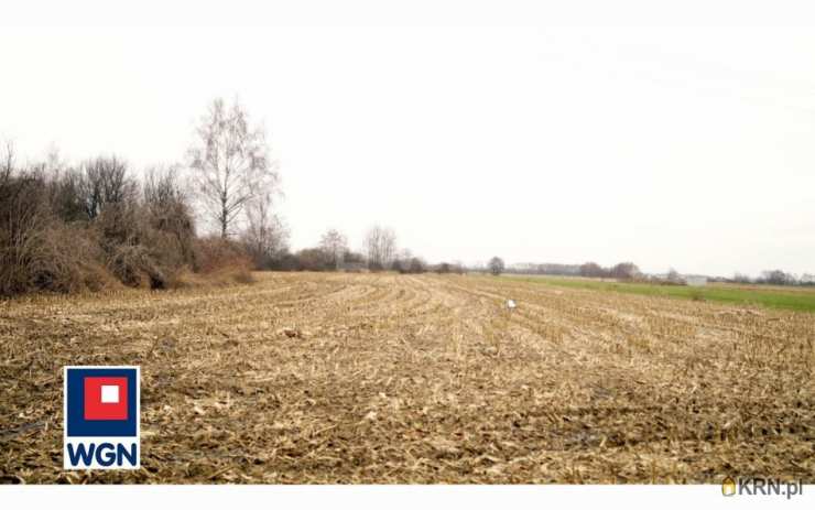 Trzciana, ul. , Działki  na sprzedaż, 