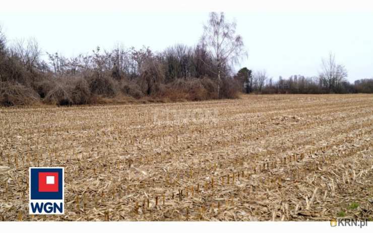 , Trzciana, ul. , Działki  na sprzedaż