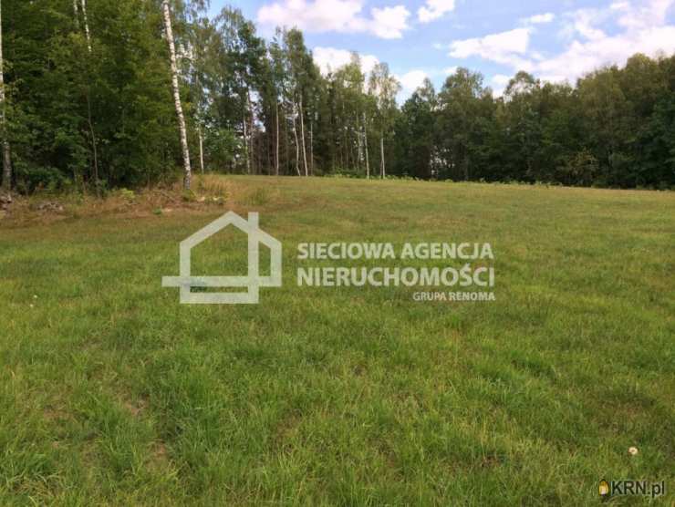 Działki  na sprzedaż, Skrzeszewo Żukowskie, ul. , 