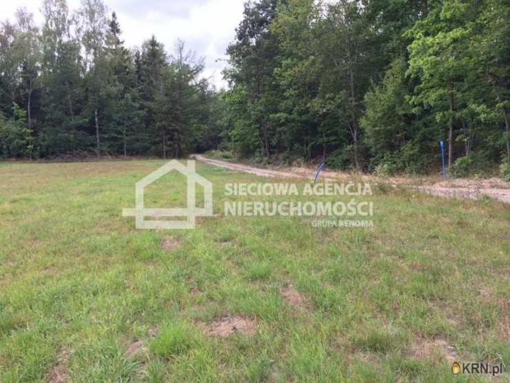 Działki  na sprzedaż, , Skrzeszewo Żukowskie, ul. 