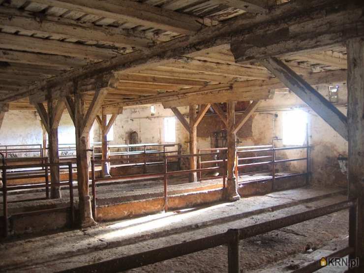 , Korsze, ul. , Działki  na sprzedaż