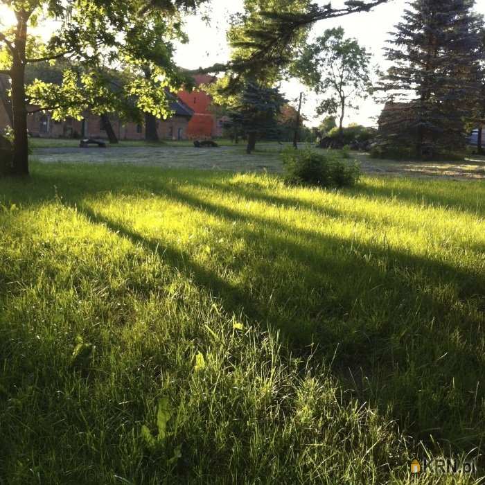 Korsze, ul. , Działki  na sprzedaż, 