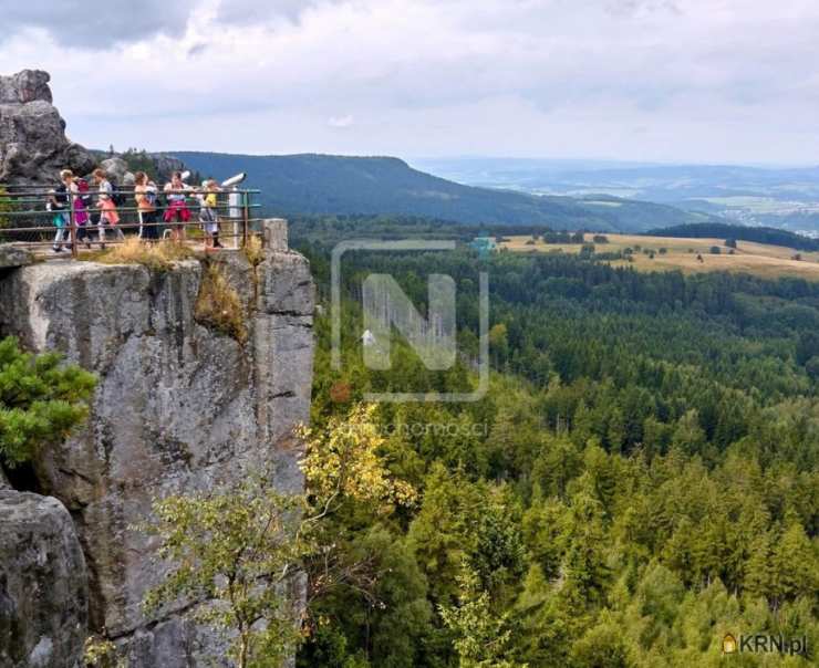 Karpacz, ul. Wilcza, Działki  na sprzedaż, 