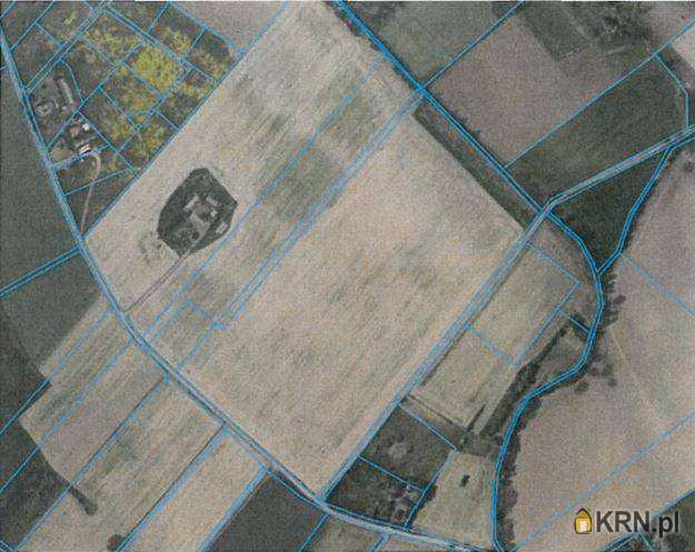 Działki  na sprzedaż, , Pędzewo, ul. 
