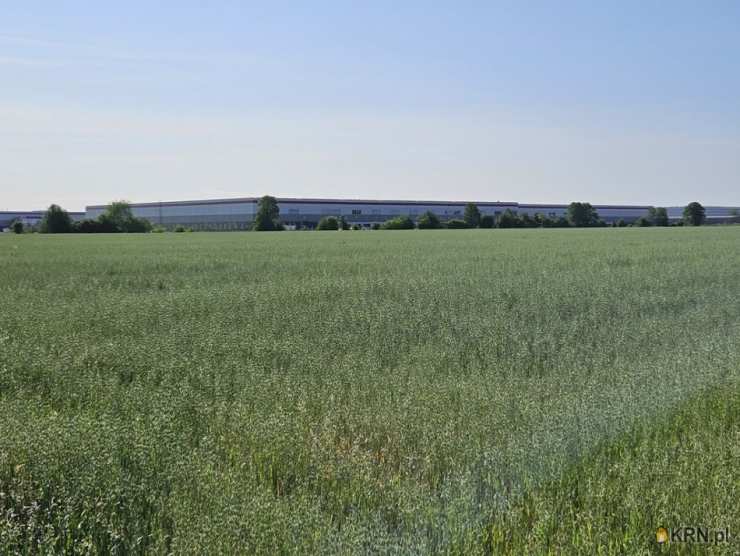 Działki  na sprzedaż, Szamoty, ul. , 