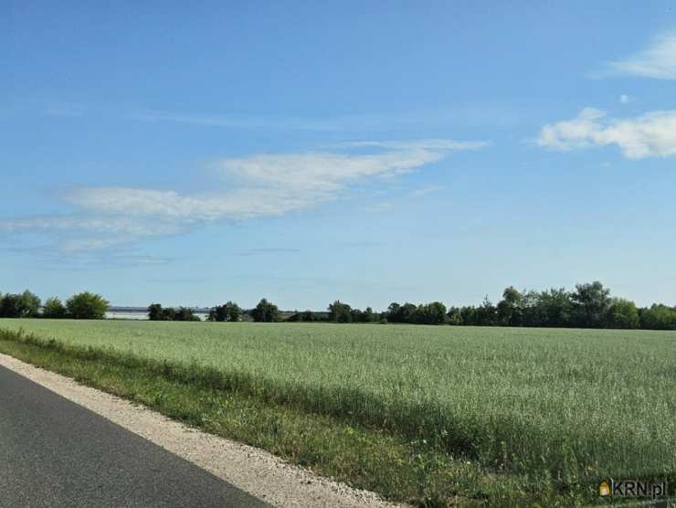 Szamoty, ul. , Działki  na sprzedaż, 