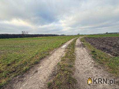, Działki  na sprzedaż, Gozdy, ul. 
