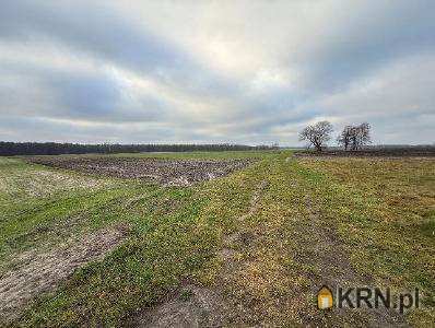 , Gozdy, ul. , Działki  na sprzedaż