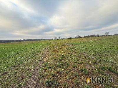 Gozdy, ul. , Działki  na sprzedaż, 