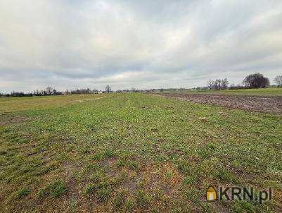 Gozdy, ul. , , Działki  na sprzedaż