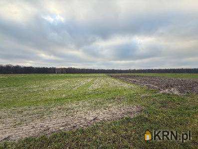 , Działki  na sprzedaż, Gozdy, ul. 
