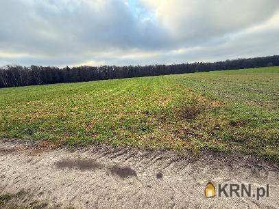 Działki  na sprzedaż, Gozdy, ul. , 