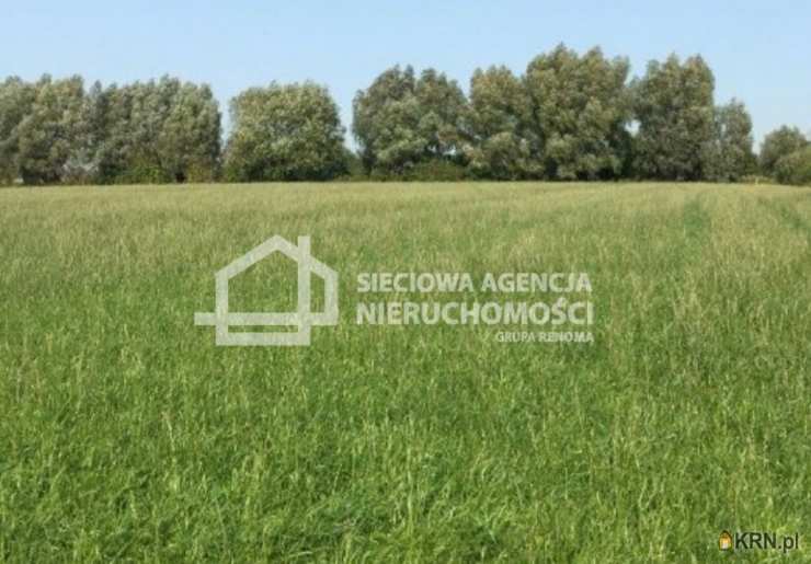 , Grabno, ul. , Działki  na sprzedaż