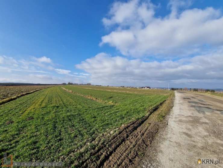 Działki  na sprzedaż, Skała, ul. , 