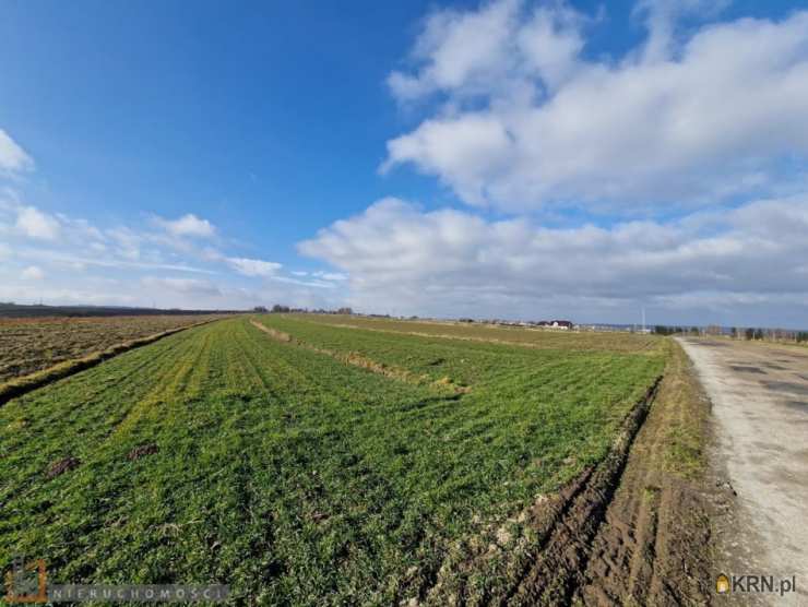 Działki  na sprzedaż, , Skała, ul. 