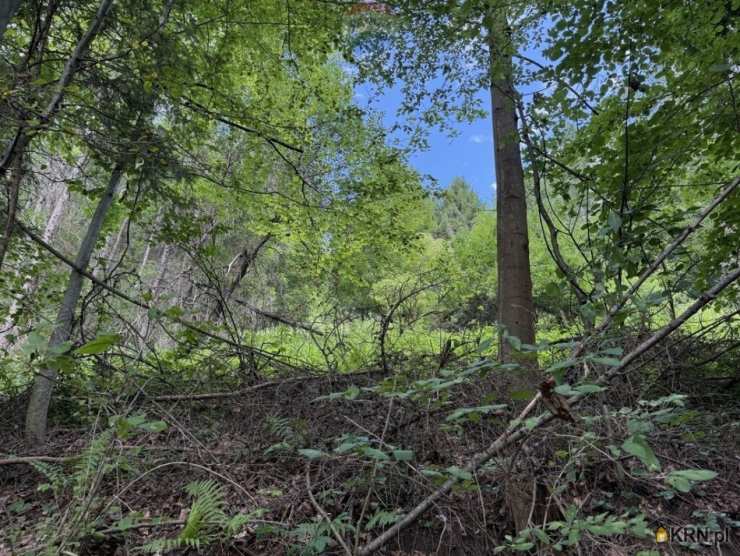 Działki  na sprzedaż, , Krościenko nad Dunajcem, ul. 