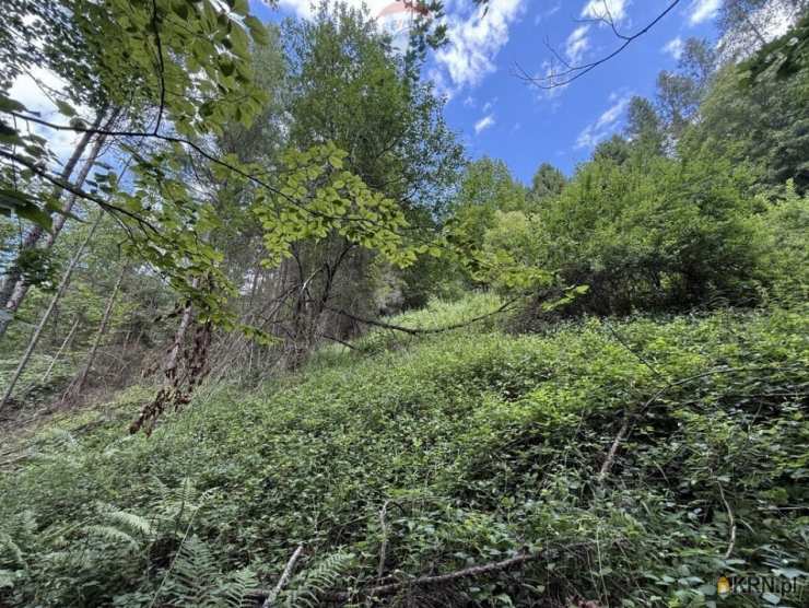 Krościenko nad Dunajcem, ul. , Działki  na sprzedaż, 