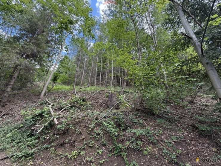 , Krościenko nad Dunajcem, ul. , Działki  na sprzedaż