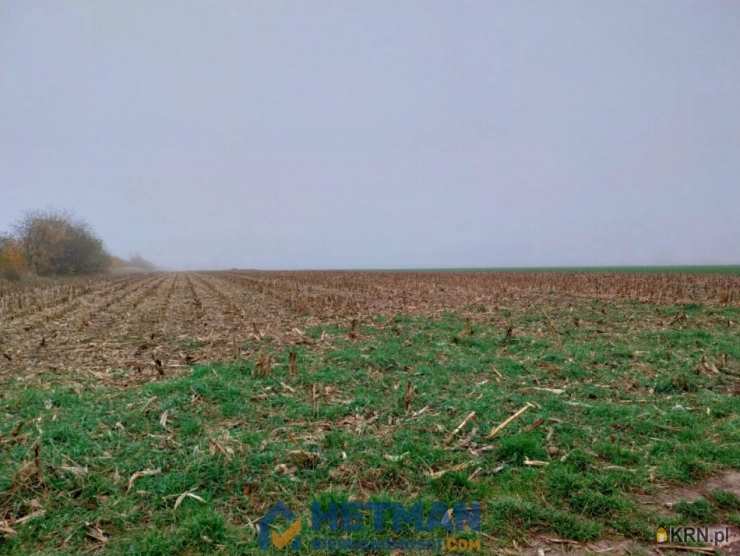 Plewiska, ul. Szkolna, , Działki  na sprzedaż