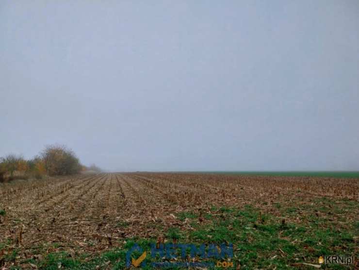 , Plewiska, ul. Szkolna, Działki  na sprzedaż