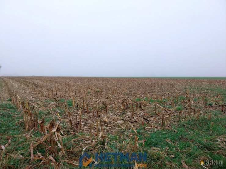 , Działki  na sprzedaż, Plewiska, ul. Szkolna