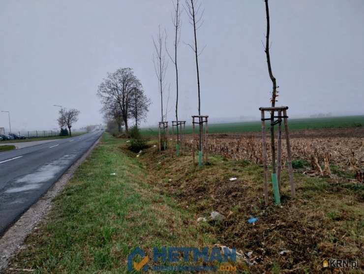 Plewiska, ul. Szkolna, Działki  na sprzedaż, 