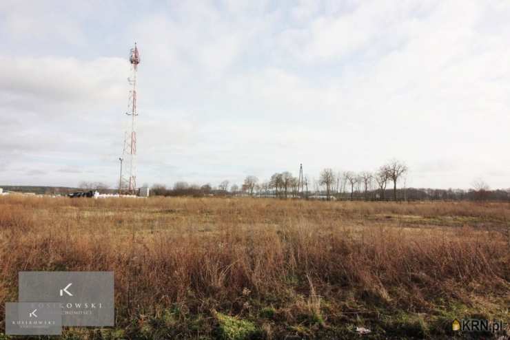 , Działki  na sprzedaż, Rychtal, ul. 