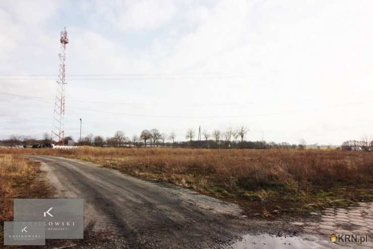 , Rychtal, ul. , Działki  na sprzedaż