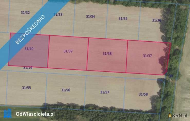 Działki  na sprzedaż, Grabowno Wielkie, ul. , 