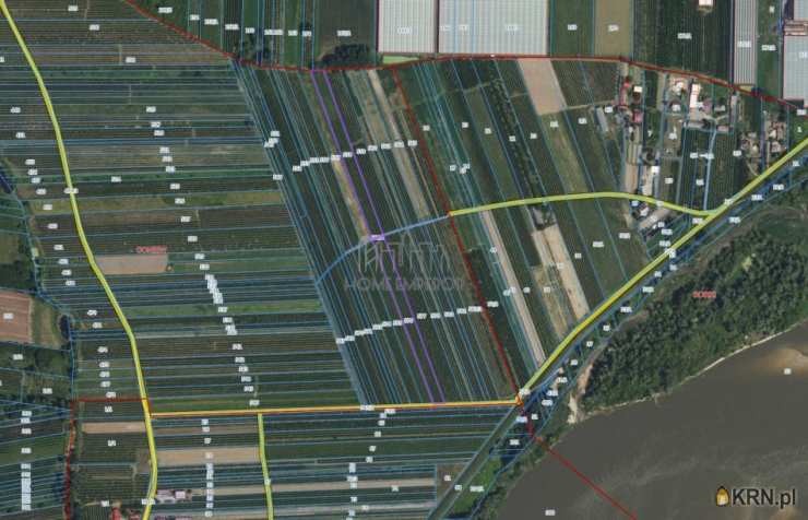 Coniew, ul. , Działki  na sprzedaż, 