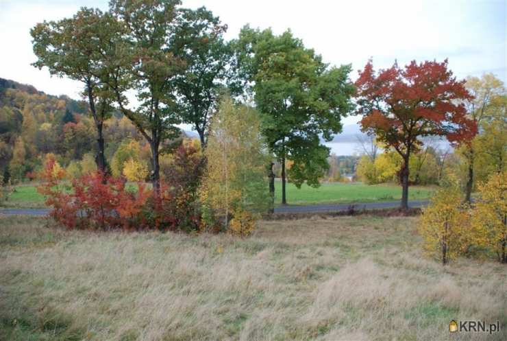 Sosnówka, ul. , Działki  na sprzedaż, 